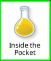 Inside the Pocket
