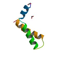 3IM3 (SCOPe Family a.31.1.1)