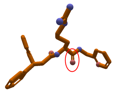 Puzzle 1855 Ligand 3,3,1 final