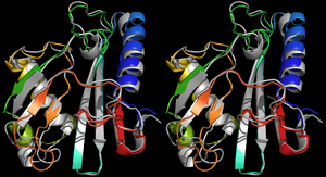 wf-VC#1 (myprotein-me#2 in grey)