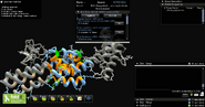 S1 Enzyme 12737