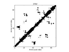 1F6V - Contact Map 1