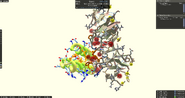 S19 silent gene 11454