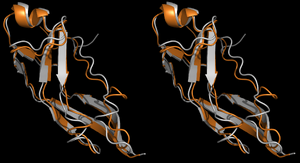 VC#4 in Cross-Eye stereo view (Start in grey)