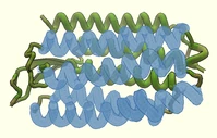 Several helices are frozen and are a translucent light blue in contrast to the unfrozen green helices.