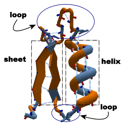 Helix Loop Sheet