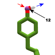 Tyrosine.