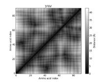 1F6V - Distance Map 1