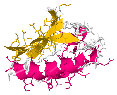 Electron Density 1HDN