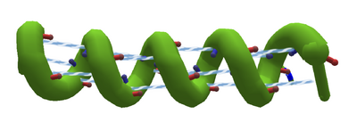 HydrogenBondsHelix