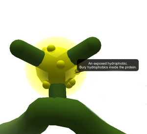 ShowExposeds