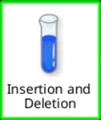 Insertion and Deletion