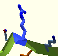 Amino Acids | Foldit Wiki | Fandom Amino Acids | Foldit Wiki | Fandom