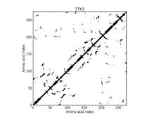 1TK2 - Contact Map