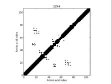 2Z44 - Contact Map