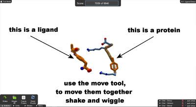 Level 8-1 Ligand Debut