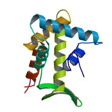 1RSS (SCOPe Family a.75.1.1)