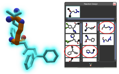 Puzzle 1855 with N terminal option 3 C terminal option 3 chirality option 1