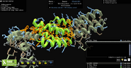 S1 Enzyme 20446