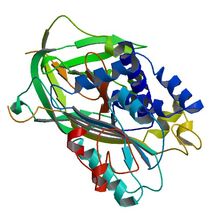 1OC0 (SCOPe Families e.1.1.1 & g.64.1.1)