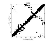 1C75 - Contact Map