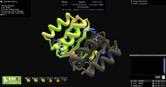 S37 Enzyme