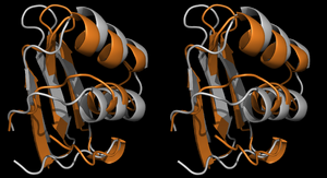 VC#4 in Cross-Eye stereo view (Start in grey)