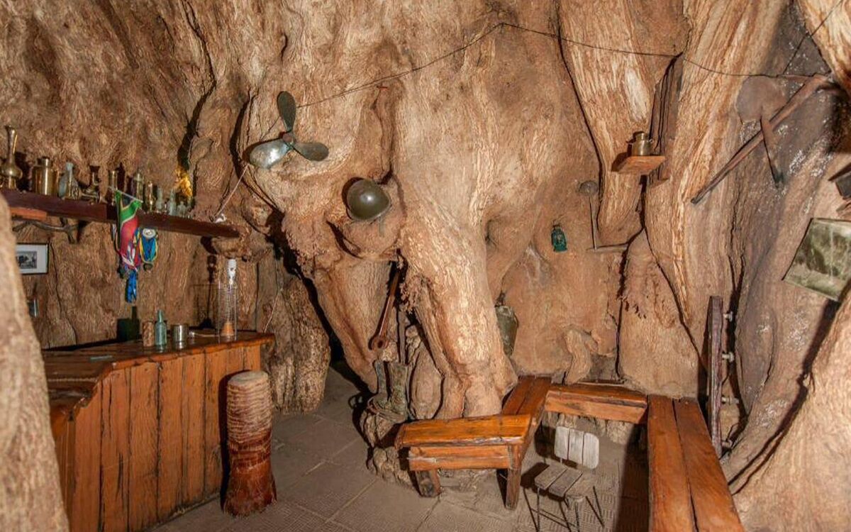 Баобаб ул громовой 90 фото