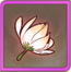 Icon-Petal.png