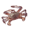 tooltip=Blue Crab