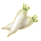 tooltip=White Radish