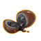 tooltip=Century Egg