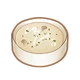 Mushroom Soup
