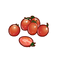 Cherry Tomato
