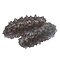 tooltip=Sea Cucumber