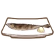 Dish-Sanma Shioyaki