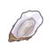 tooltip=Oyster