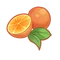 tooltip=Orange
