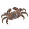 tooltip=Mitten Crab