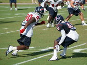 Andre Johnson (2) - Houston Texans