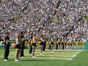 UWGB Packers Cheerleader