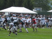 Donovan McNabb Eagles Training Camp 2008