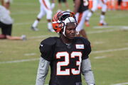 Terence Newman 2014 Bengals training camp