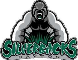 DaytonSilverbacks