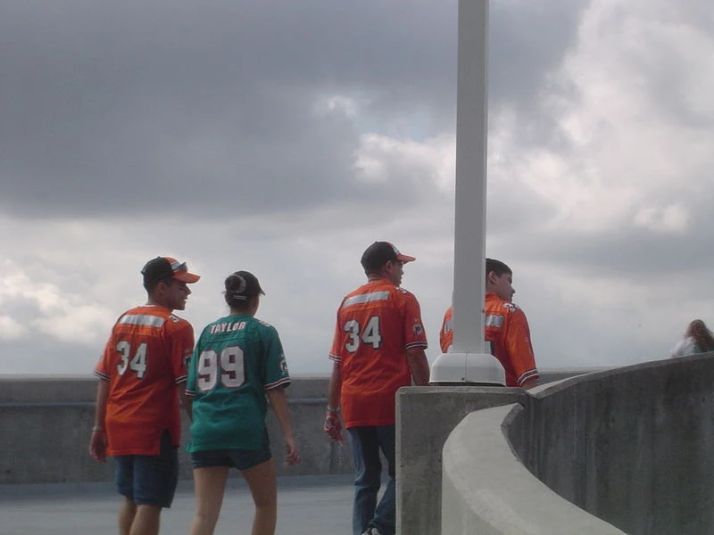 2004 Miami Dolphins season American Football Database Fandom