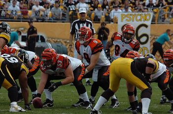 Carson Palmer to be 16th member of Arizona Cardinals Ring of Honor