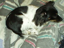 P1010007.jpg