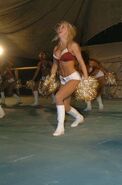 Redskins cheerleaders Iraq 7