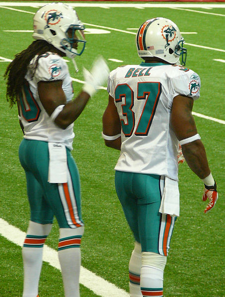 2006 Miami Dolphins season, American Football Database