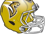 Sacramento Mountain Lions